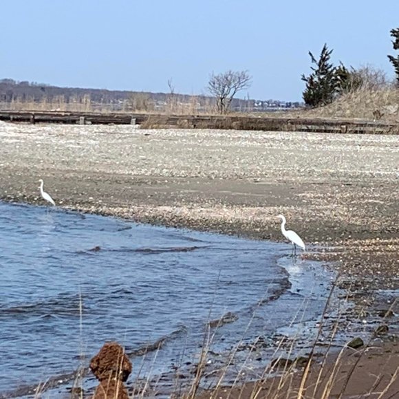 Meet your Posher, Jacqueline - Picture 9 of 12